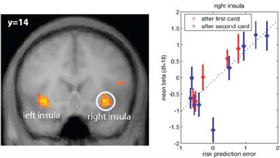 Formalizing the Function of Anterior Insula in Rapid Adaptation